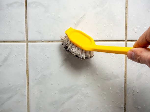  Freeland, MI Mold Removal Pros