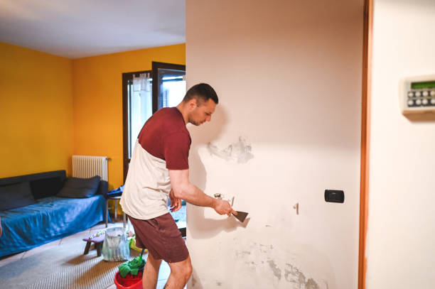 Best Post-Remediation Services in Freeland, MI
